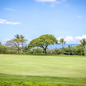 Beautiful 2/2 In Kona. Ocean View! Apartment